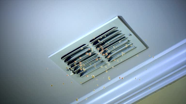 Best Local Air Duct Cleaning Services  in Hope, IN